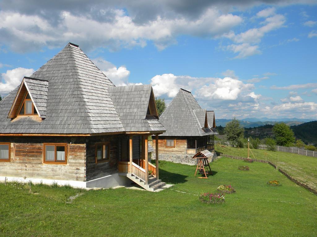 Casele De Vacanta Luca & Vicentiu Botiza Экстерьер фото